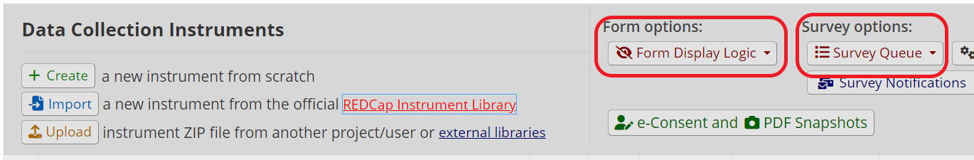 Form Display Logic and Survey Queue