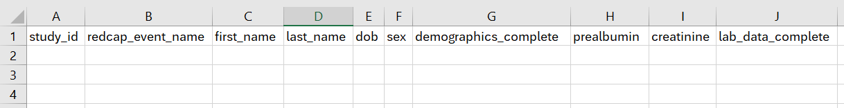 Data Import Template